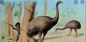 la-gigante-ave-MOA